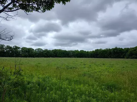 E Division Street, Sherwood, MI 49089