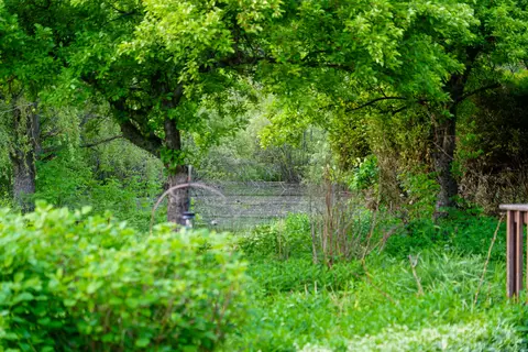 Other - 3091 E Sage Lk, Lupton, MI 48635 photo 18 of 21