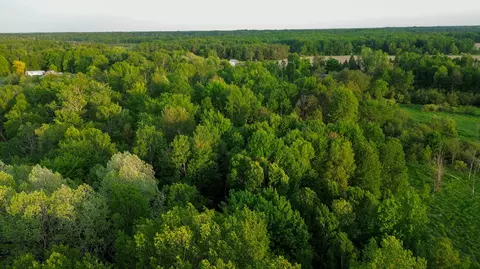 View/Area - 3091 E Sage Lk, Lupton, MI 48635 photo 5 of 6