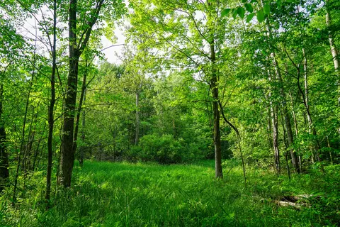 Other - 3091 E Sage Lk, Lupton, MI 48635 photo 13 of 21