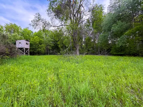 Other - 3091 E Sage Lk, Lupton, MI 48635 photo 4 of 21