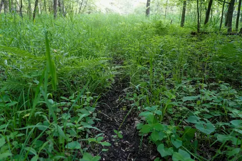 Other - 3091 E Sage Lk, Lupton, MI 48635 photo 12 of 21