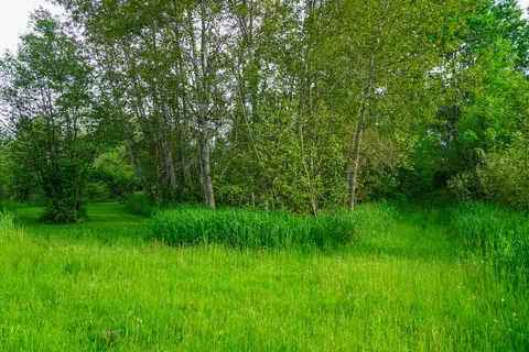 Other - 3091 E Sage Lk, Lupton, MI 48635 photo 20 of 21