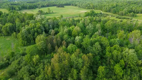 View/Area - 3091 E Sage Lk, Lupton, MI 48635 photo 3 of 6