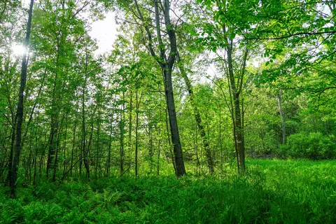 Other - 3091 E Sage Lk, Lupton, MI 48635 photo 14 of 21