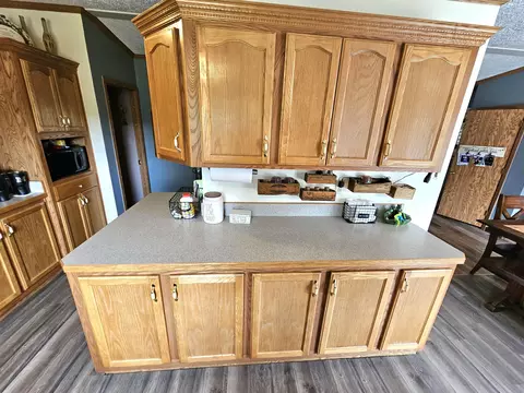 13229 Harder Rd, Three Rivers, MI 49093 photo 19