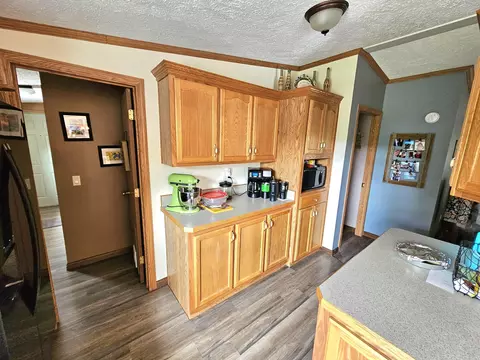 13229 Harder Rd, Three Rivers, MI 49093 photo 18