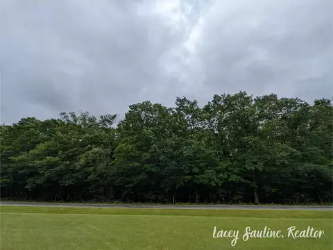 W Finkle Road, Mcbain, MI 49657