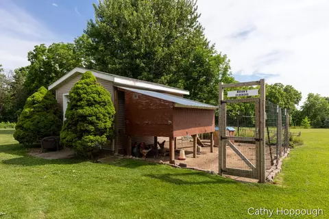 Exterior - 8152 Murphy Rd, Lyons, MI 48851 photo 10 of 22