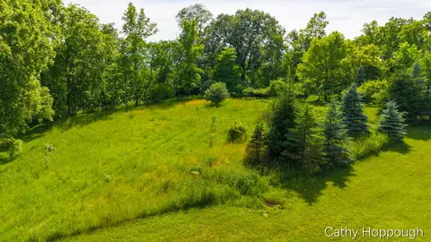 Other - 8152 Murphy Rd, Lyons, MI 48851 photo 21 of 23