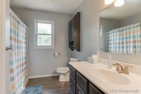 Bath - 8152 Murphy Rd, Lyons, MI 48851 photo 3 of 3