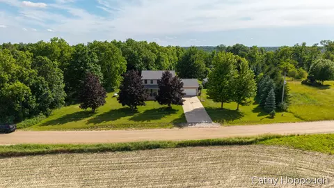 Other - 8152 Murphy Rd, Lyons, MI 48851 photo 20 of 23