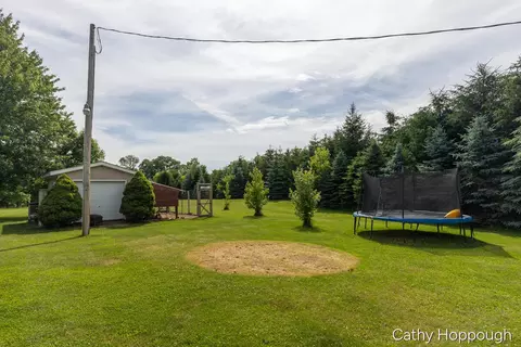 Exterior - 8152 Murphy Rd, Lyons, MI 48851 photo 12 of 22