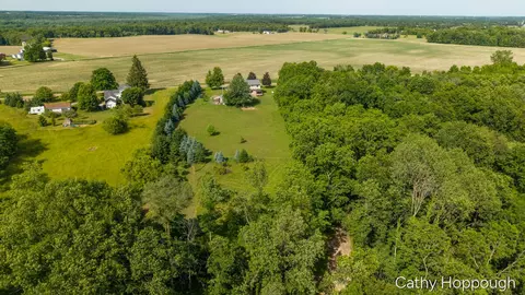 View/Area - 8152 Murphy Rd, Lyons, MI 48851 photo 3 of 7