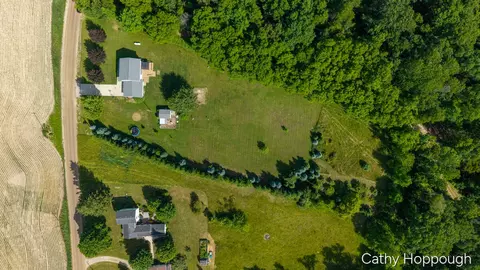 View/Area - 8152 Murphy Rd, Lyons, MI 48851 photo 5 of 7