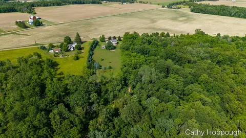 View/Area - 8152 Murphy Rd, Lyons, MI 48851 photo 2 of 7