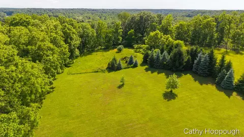 Other - 8152 Murphy Rd, Lyons, MI 48851 photo 22 of 23