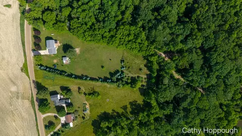 View/Area - 8152 Murphy Rd, Lyons, MI 48851 photo 4 of 7