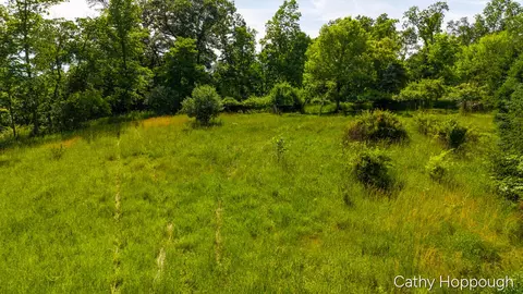 Exterior - 8152 Murphy Rd, Lyons, MI 48851 photo 21 of 22