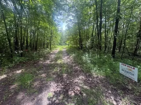 Norwegian Trail, Harrison, MI 48625 photo 9