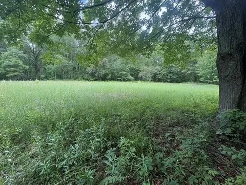 Norwegian Trail, Harrison, MI 48625 photo 11