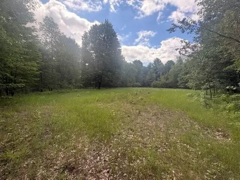Norwegian Trail, Harrison, MI 48625 photo 4