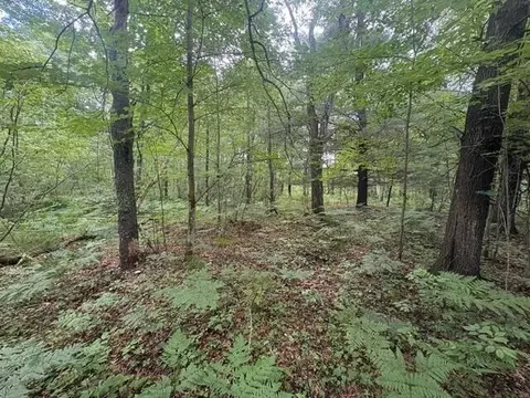 Norwegian Trail, Harrison, MI 48625 photo 12