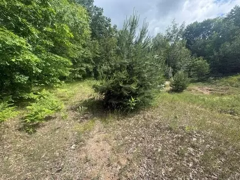 Norwegian Trail, Harrison, MI 48625 photo 7
