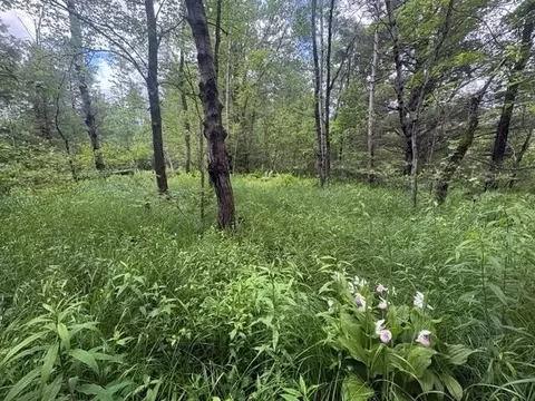 Norwegian Trail, Harrison, MI 48625 photo 15