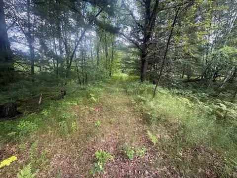 Norwegian Trail, Harrison, MI 48625 photo 6