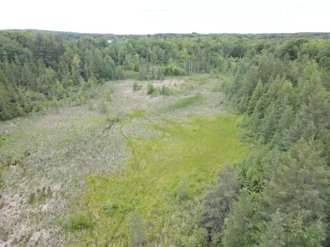 Norwegian Trail, Harrison, MI 48625 photo 17