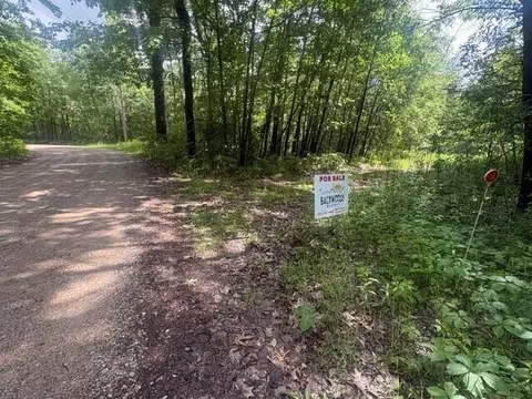 Norwegian Trail, Harrison, MI 48625 photo 10