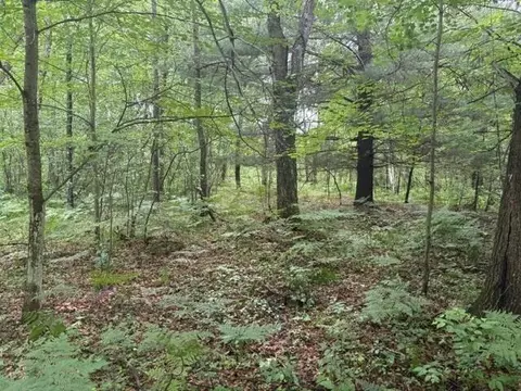 Norwegian Trail, Harrison, MI 48625 photo 13