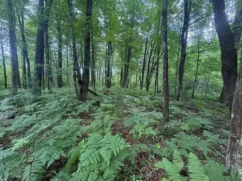 Norwegian Trail, Harrison, MI 48625 photo 14