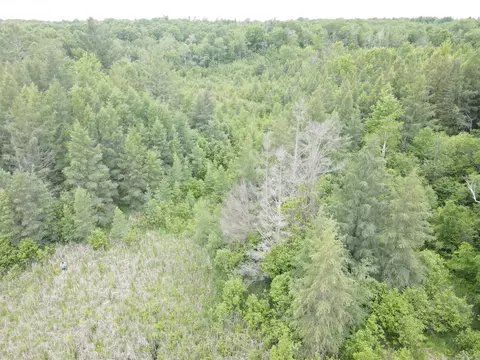 Norwegian Trail, Harrison, MI 48625 photo 16