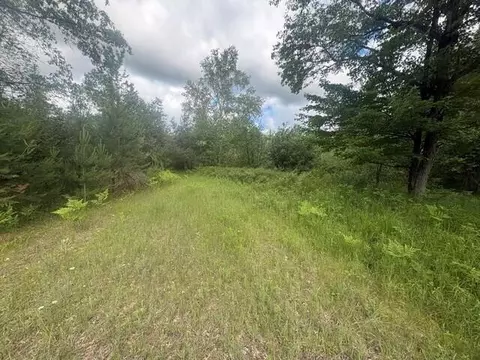 Norwegian Trail, Harrison, MI 48625 photo 5