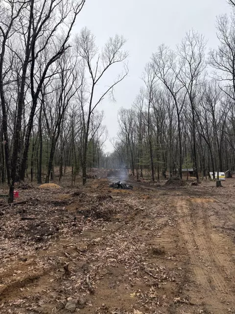 5419 Thorpe St, Fennville, MI 49408
