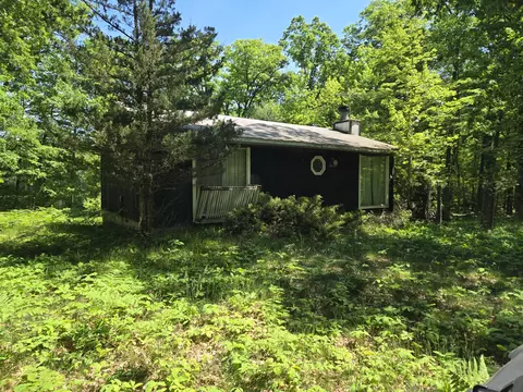 294 W Ingerman Dr, Baldwin, MI 49304