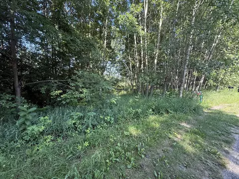 w royal road LOT A, Canadian Lakes, MI 49346