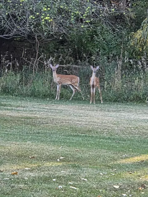 Crockard, Bad Axe, MI 48413 photo 14