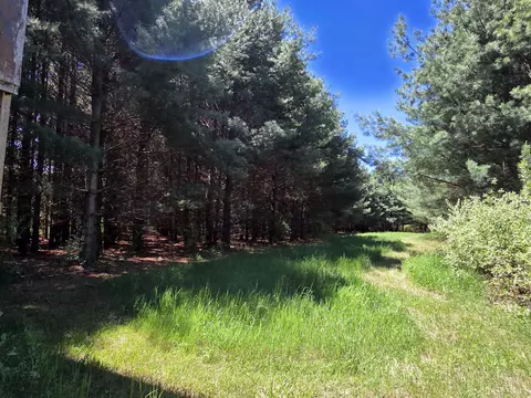 Crockard, Bad Axe, MI 48413 photo 4