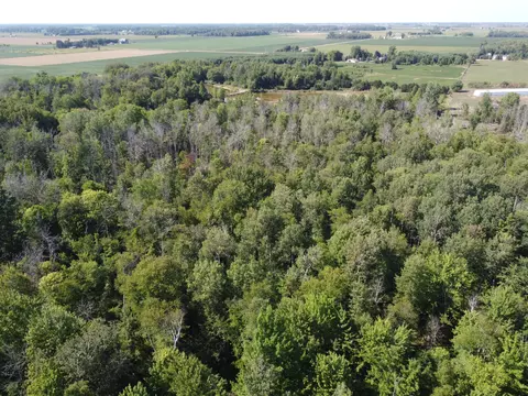 Crockard, Bad Axe, MI 48413 photo 3