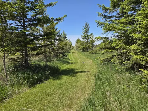 Crockard, Bad Axe, MI 48413 photo 5