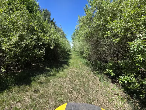 Crockard, Bad Axe, MI 48413 photo 7