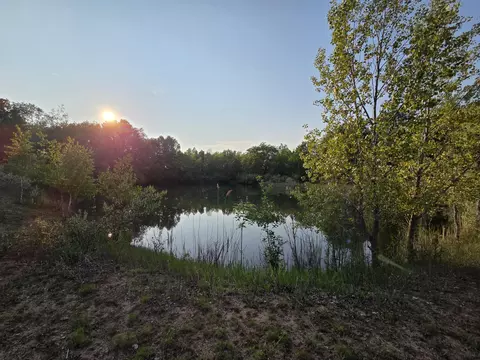 Crockard, Bad Axe, MI 48413 photo 23