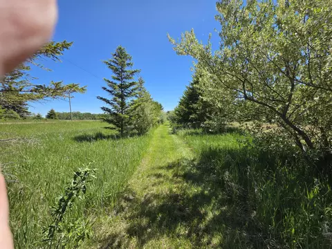 Crockard, Bad Axe, MI 48413 photo 6