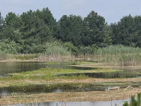 Crockard, Bad Axe, MI 48413 photo 9