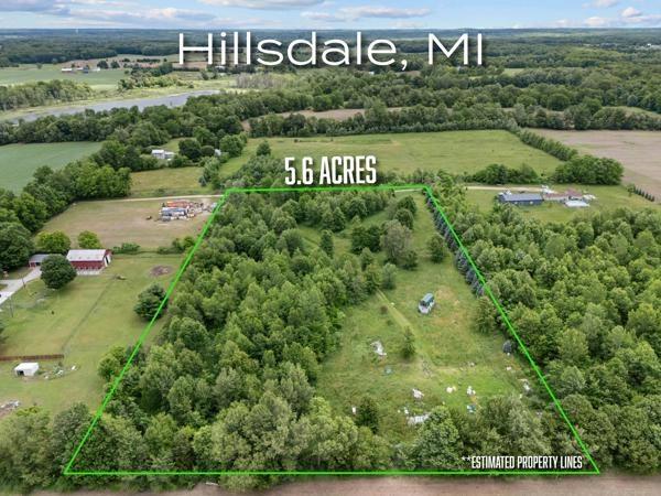 6691 W Hallett Rd, Hillsdale, MI 49242