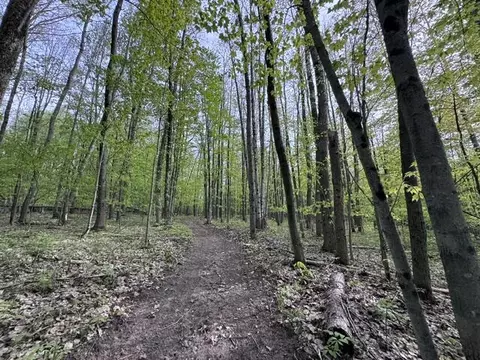 7672 E 48th St, Chase, MI 49623 photo 38