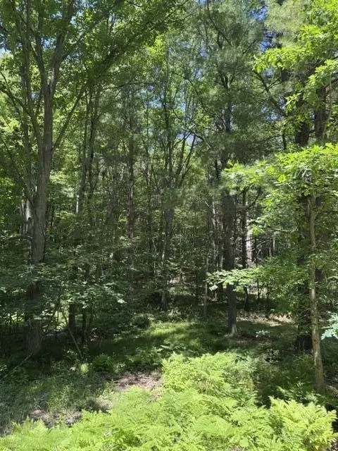 7672 E 48th St, Chase, MI 49623 photo 52